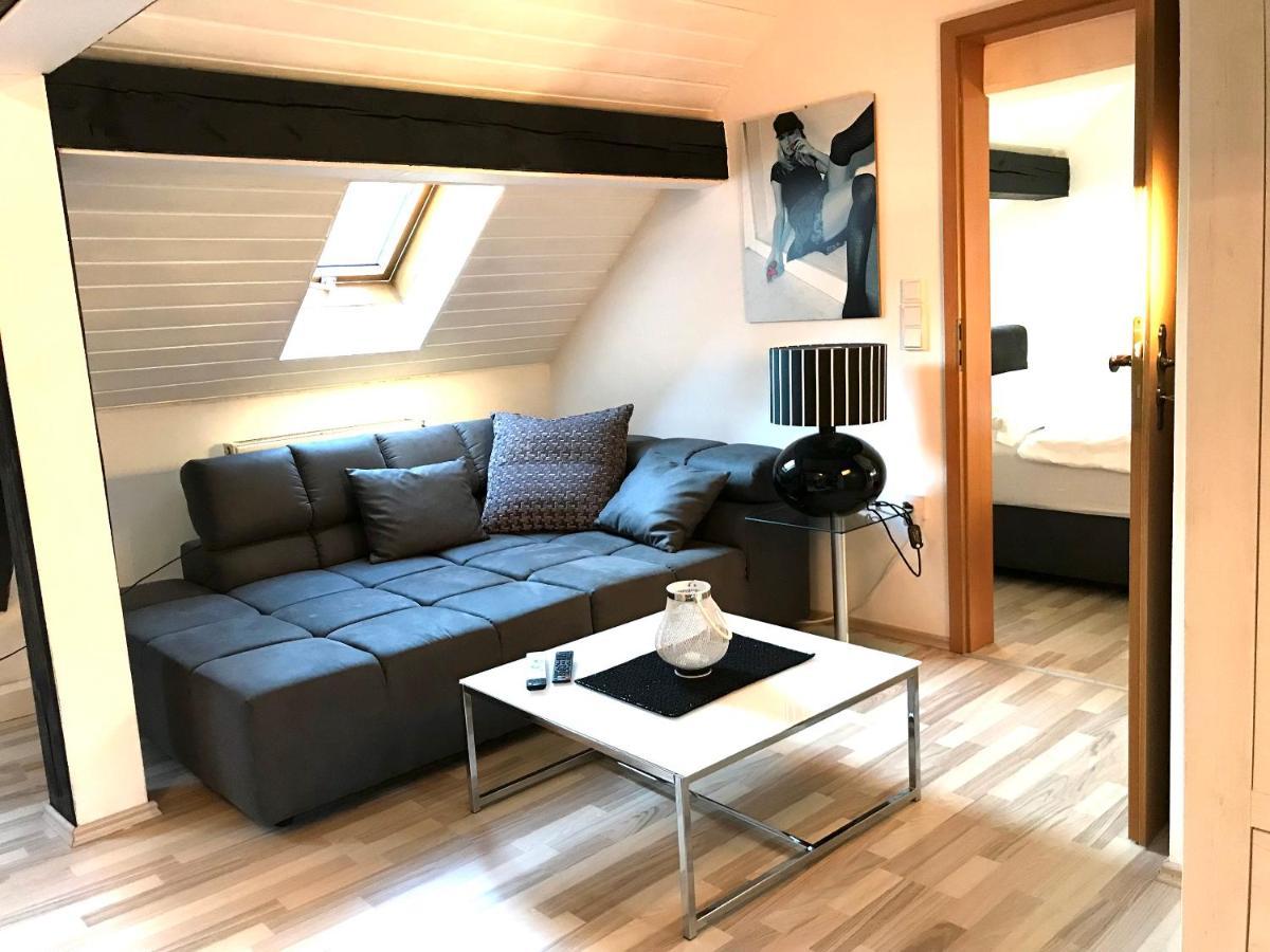 Apartment Direkt An Der Waldnaab Neustadt an der Waldnaab Extérieur photo