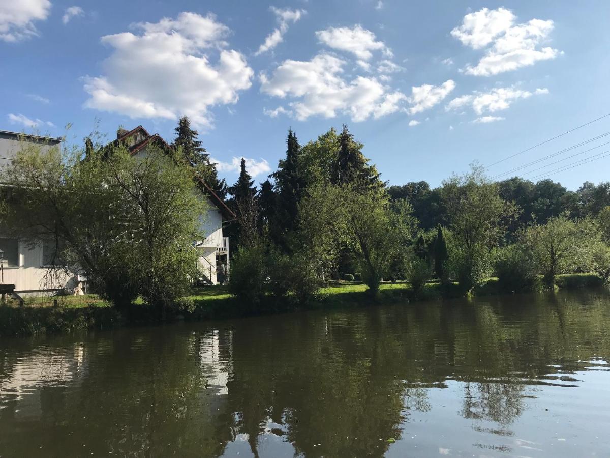 Apartment Direkt An Der Waldnaab Neustadt an der Waldnaab Extérieur photo