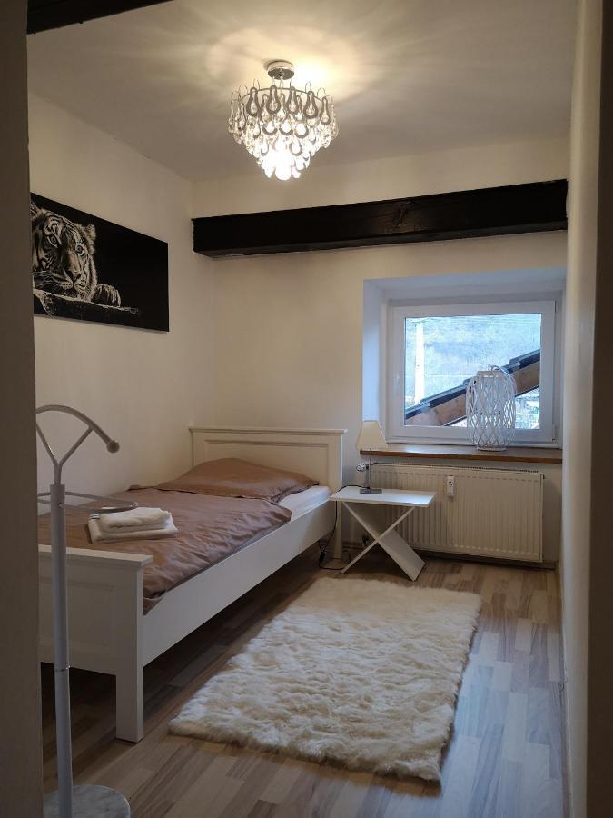 Apartment Direkt An Der Waldnaab Neustadt an der Waldnaab Extérieur photo