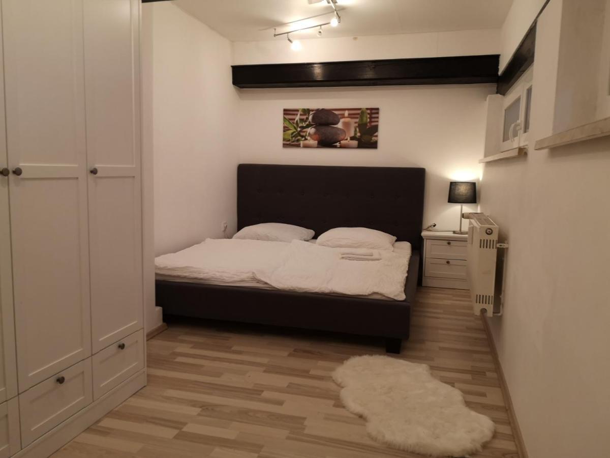 Apartment Direkt An Der Waldnaab Neustadt an der Waldnaab Extérieur photo
