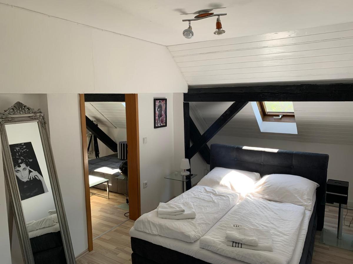Apartment Direkt An Der Waldnaab Neustadt an der Waldnaab Extérieur photo