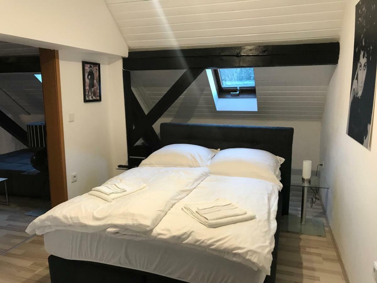 Apartment Direkt An Der Waldnaab Neustadt an der Waldnaab Extérieur photo
